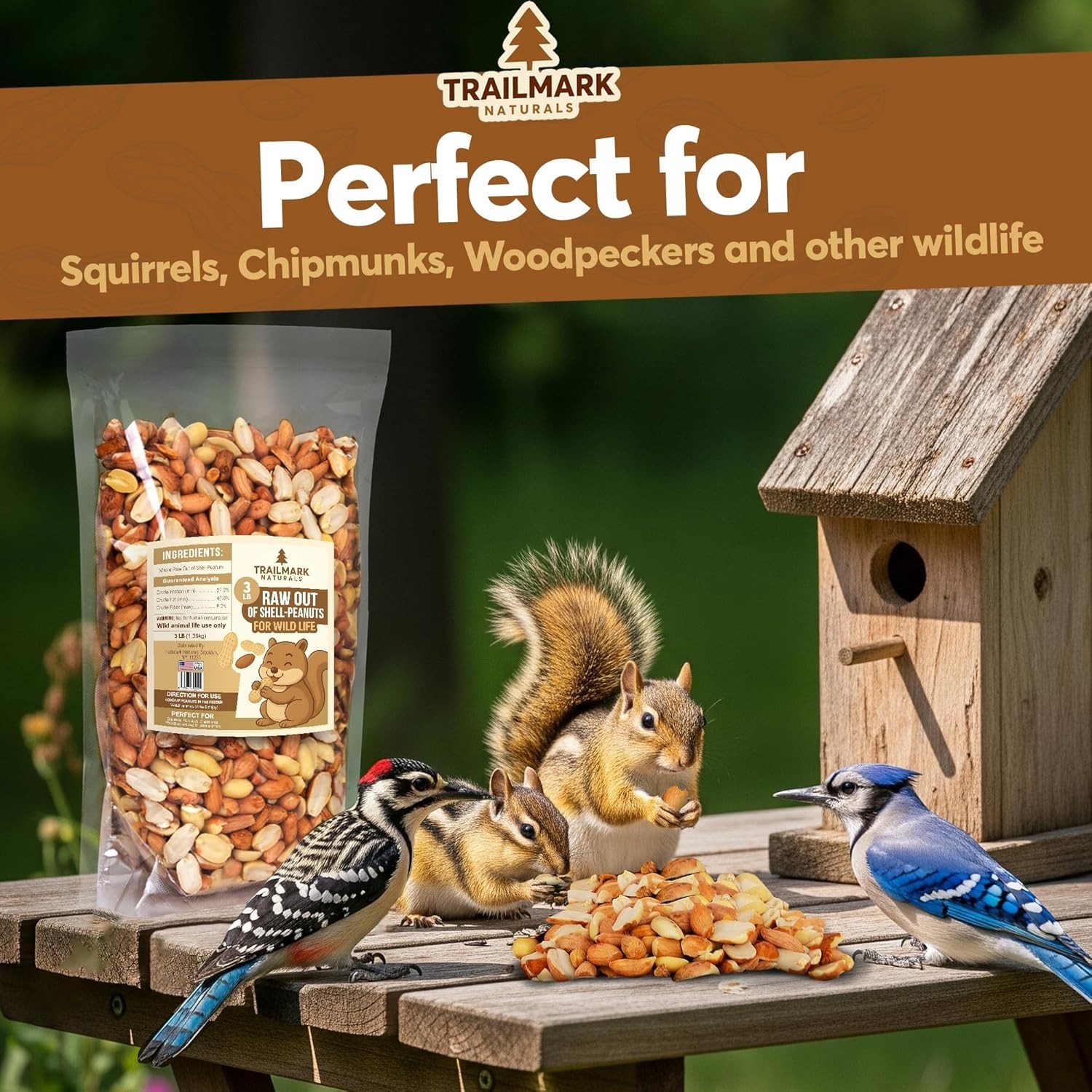 11 LB - Raw Shelled Peanuts for Squirrels, Out of Shell Peanuts for Birds gallery