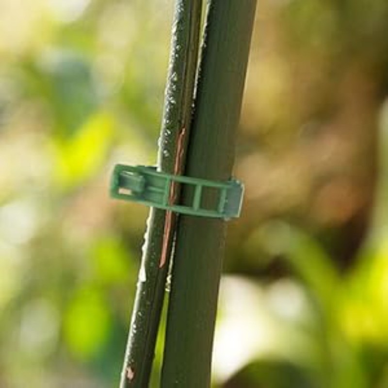 20-Pack Stackable Monstera Plant Support Stakes for Climbing Plants Stem Support gallery