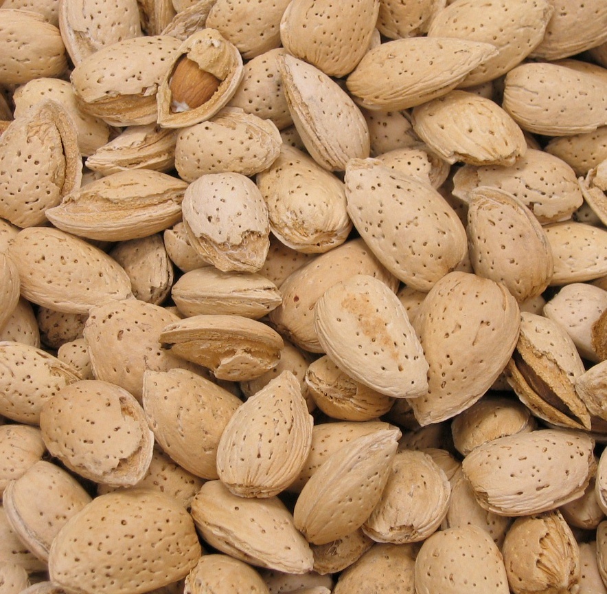 In Shell Almonds - 5 lb. - Treasured Harvest Brand gallery