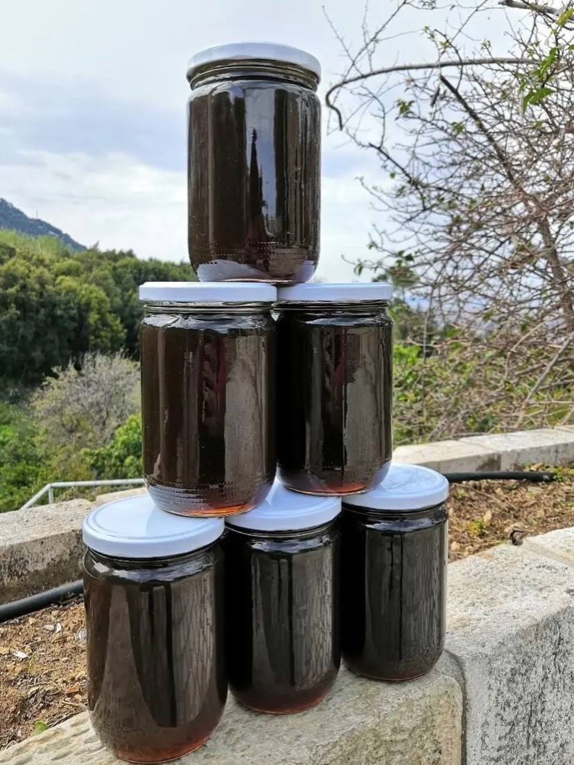 Organic Premium Pure Oak Honey from Lebanon (800 g) - Raw Amber Oak Honey gallery