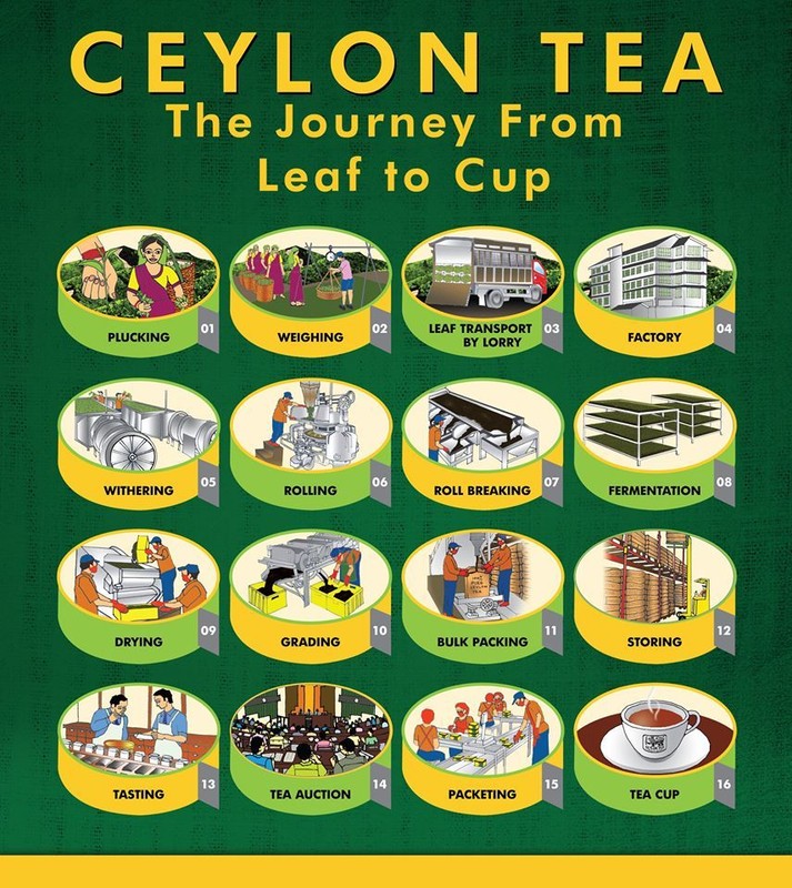 Dilmah Premium Quality Ceylon Tea 50 Bags gallery