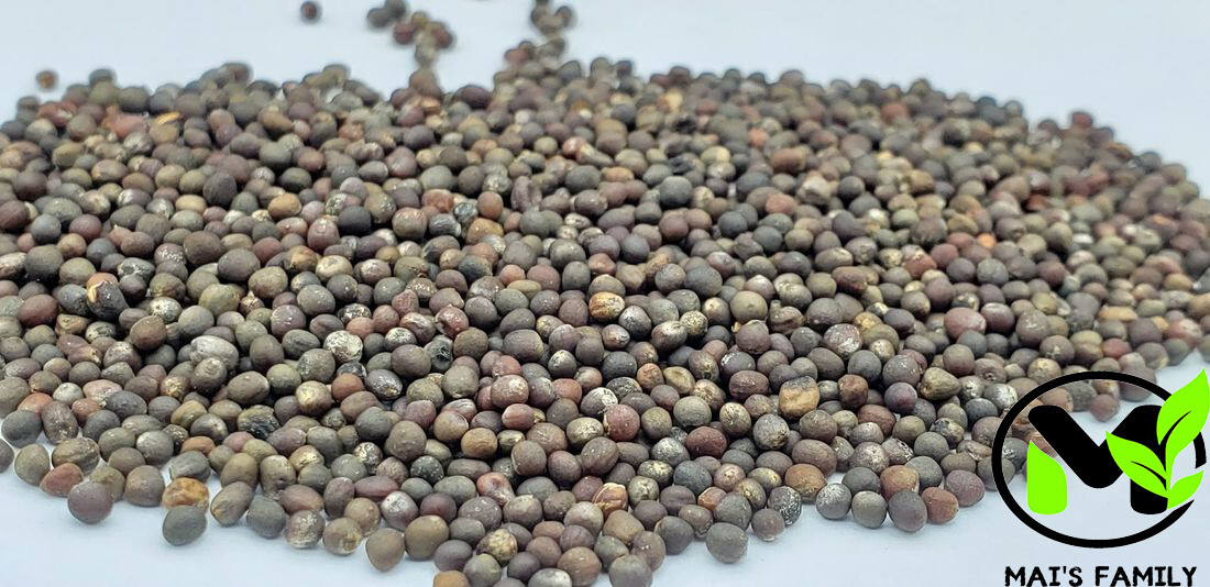 Long Island, Brussels Sprouts Seeds | NON-GMO | Heirloom gallery