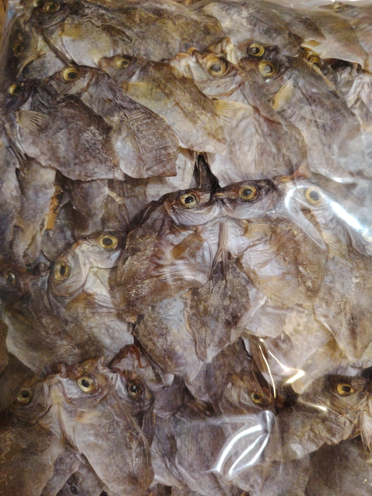 Dried Fish Danggit / Rabbit Fish salted From Cebu gallery