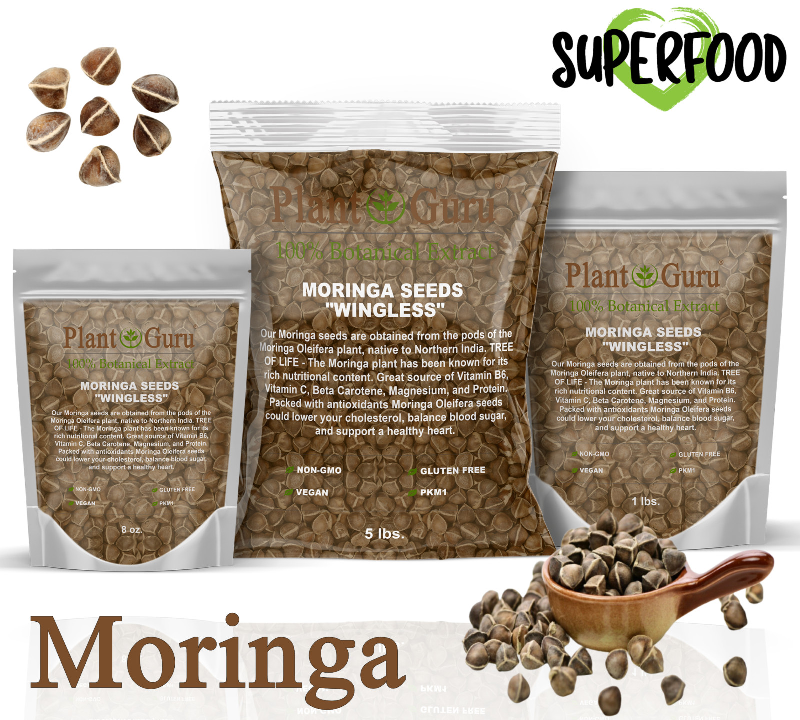 Moringa Oleifera Seeds WINGLESS Fresh Organic Semillas de Moringa Bulk Wholesale gallery