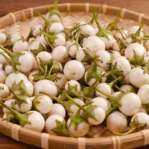 20+ White Round African Eggplant Seeds Ca Phao Trang Solanum melongena Organic gallery