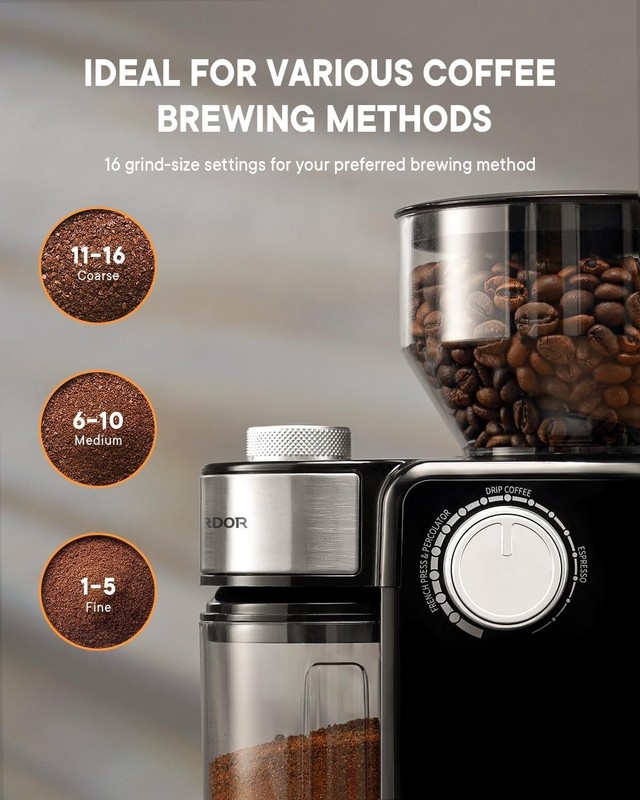 Compact Electric Burr Mill Coffee Grinder with 16 Settings for Any Brew Method gallery