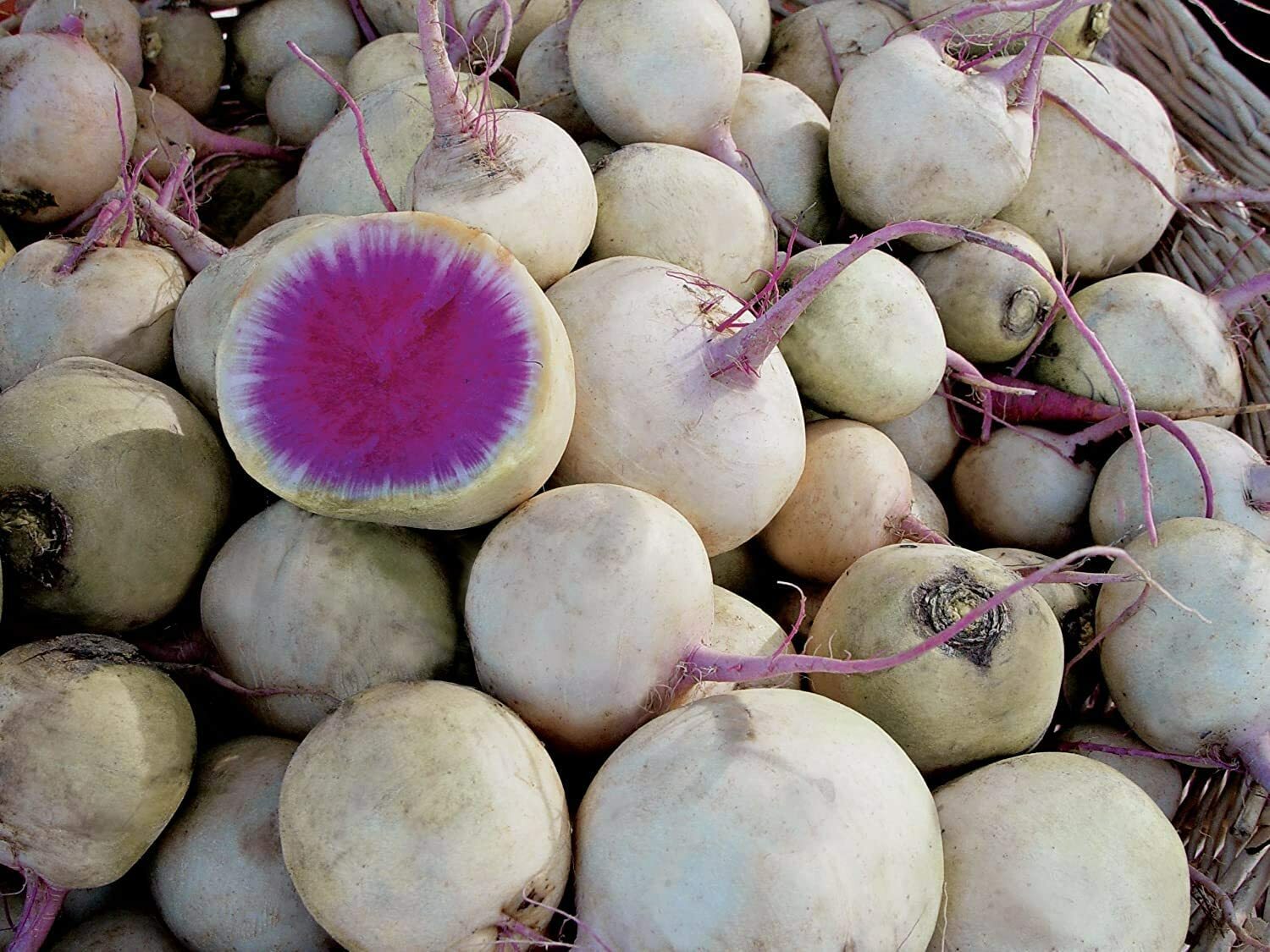 Exotic Radish Watermelon Seeds for Planting - 250+ Seeds - Rare Garden Vegetable gallery