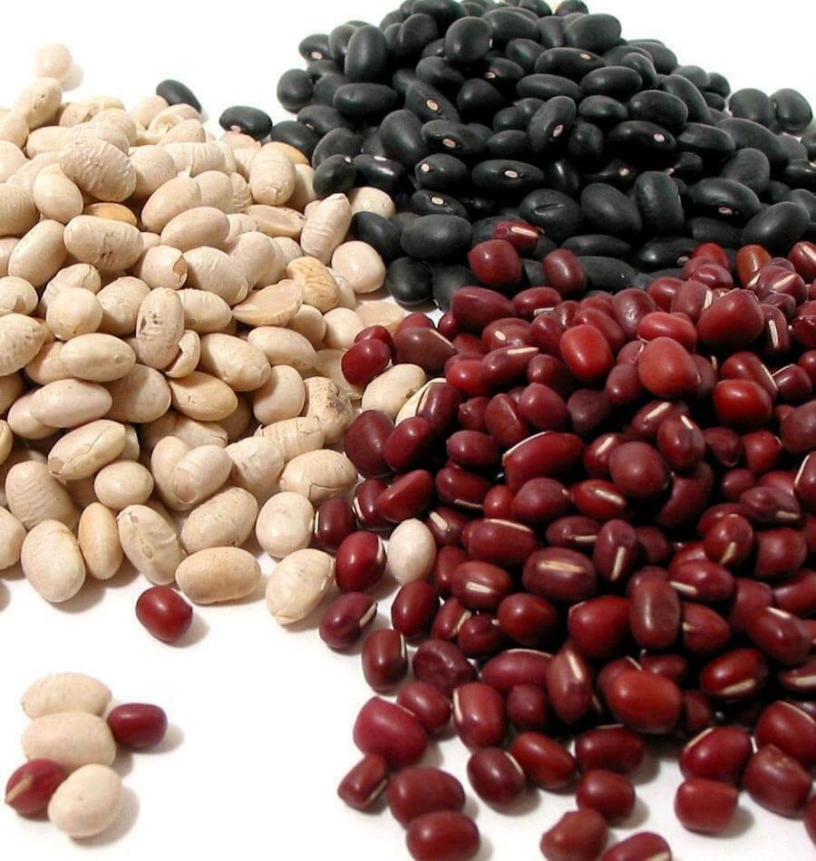 Bulk Dried Beans 8 lb. Bag (select variety from drop down) gallery