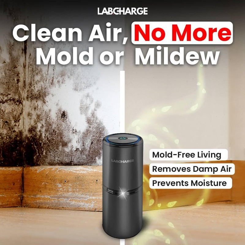 Labcharge Small Ionic Air Purifier for Home & Bedroom – Silent HEPA Filter – Cov gallery