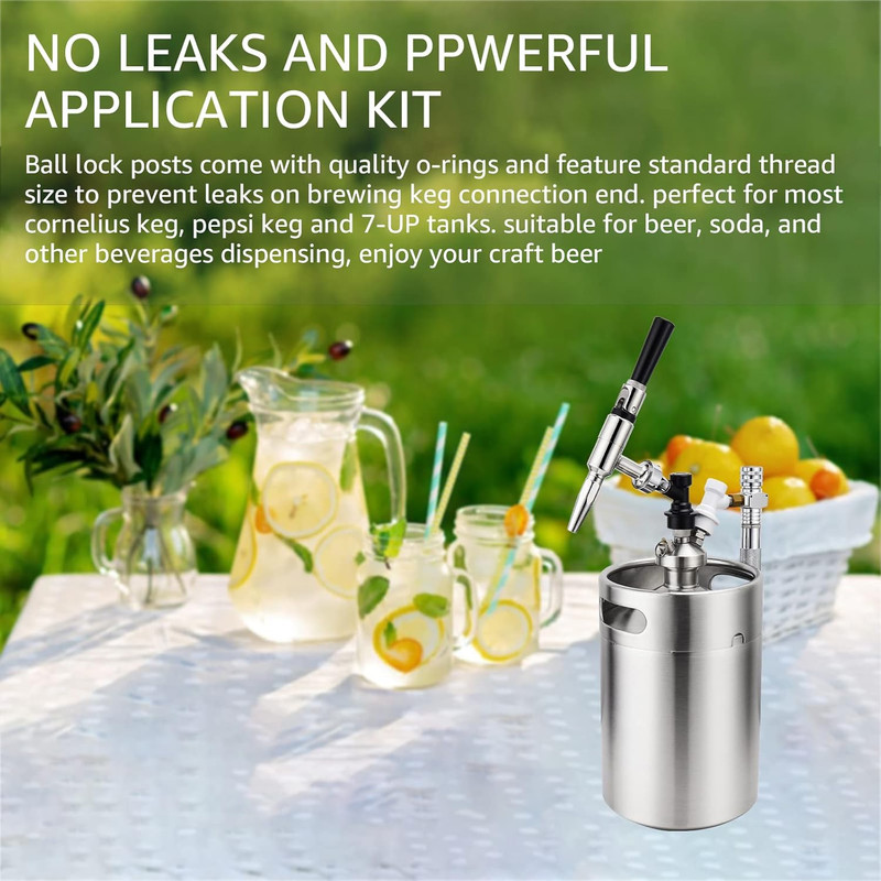 Cornelius Type Ball Lock Keg Posts,Stainless Steel Poppets and Springs,Poppet Fe gallery