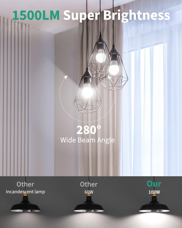 100W Equivalent LED Light Bulbs A19 1500LM 5000K Daylight NonDimmable 24 Pack gallery