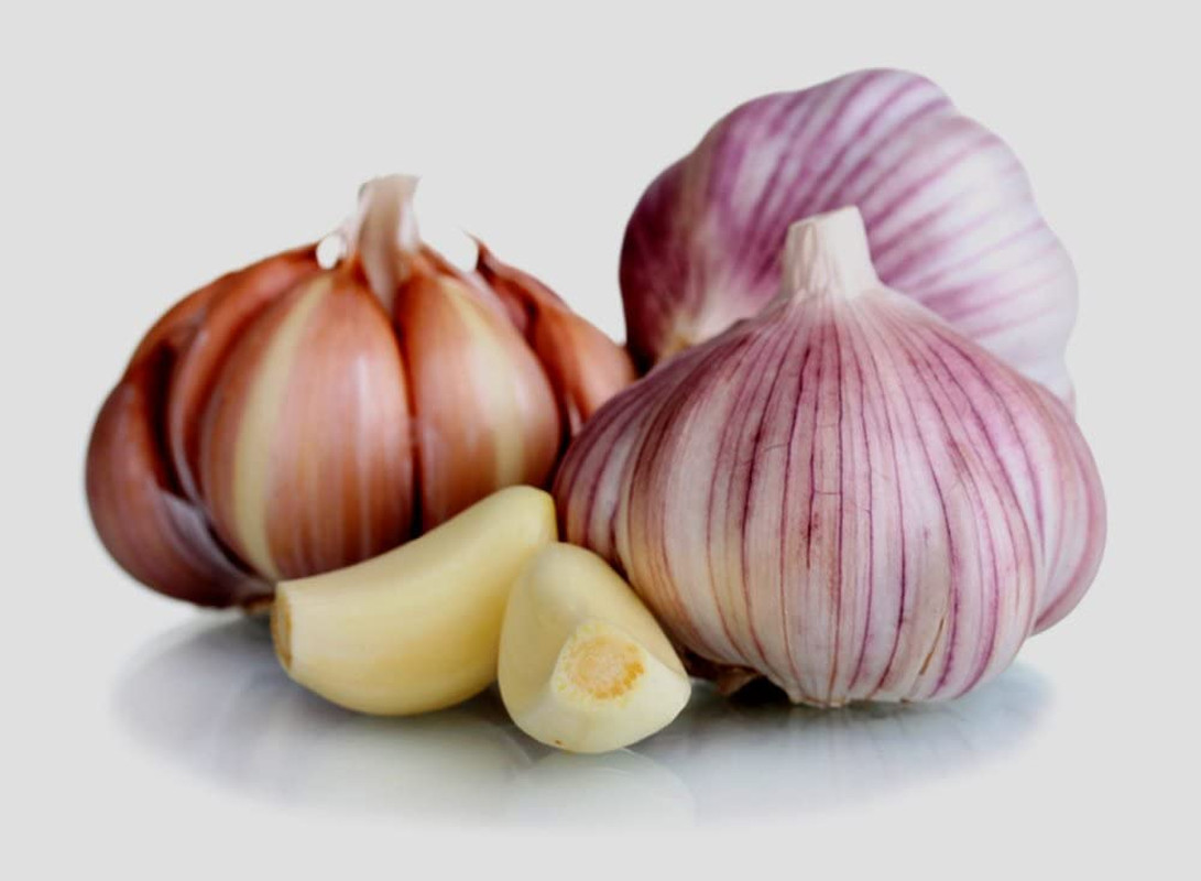 Garlic Bulb (3 Pack) Fresh Siberian Hardneck for Planting and Growing Your Own gallery