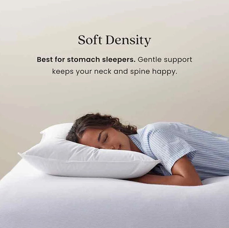 [ LUXURY ] The Company Store Legends Luxury Royal Down Pillow gallery