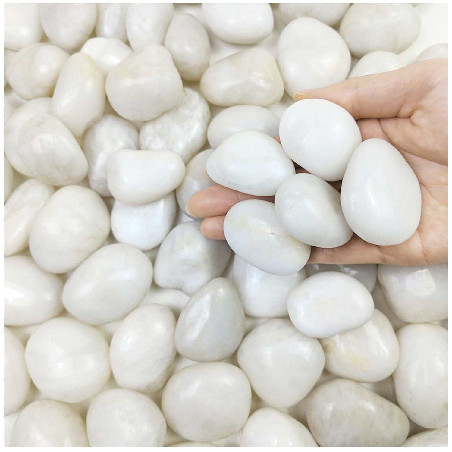 Landscaping White River Rocks 20 lbs-~ gallery