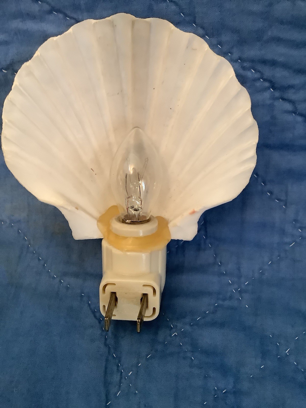 Vintage Seashell Night Light Natural Color Scallop Shell Beach Cottage gallery