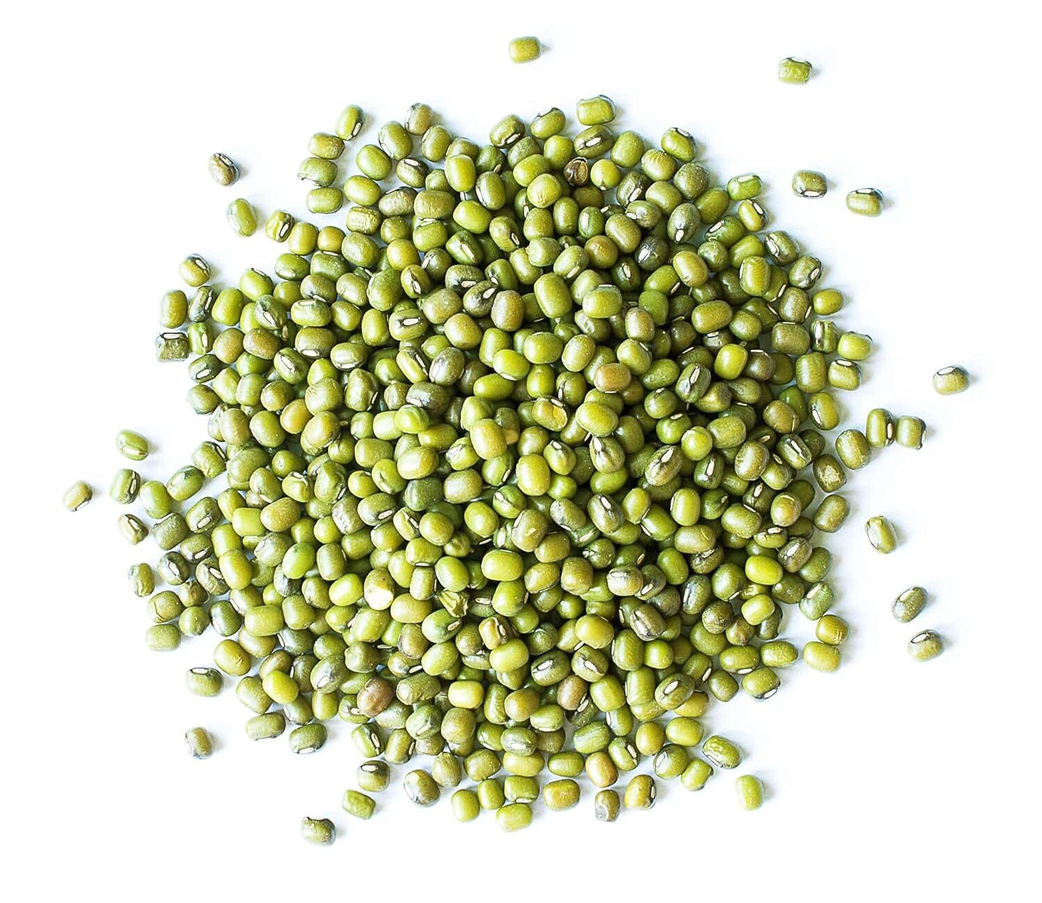 Organic Mung Beans — Sproutable, Non-GMO, Kosher, Raw, Vegan — by Food to Live gallery