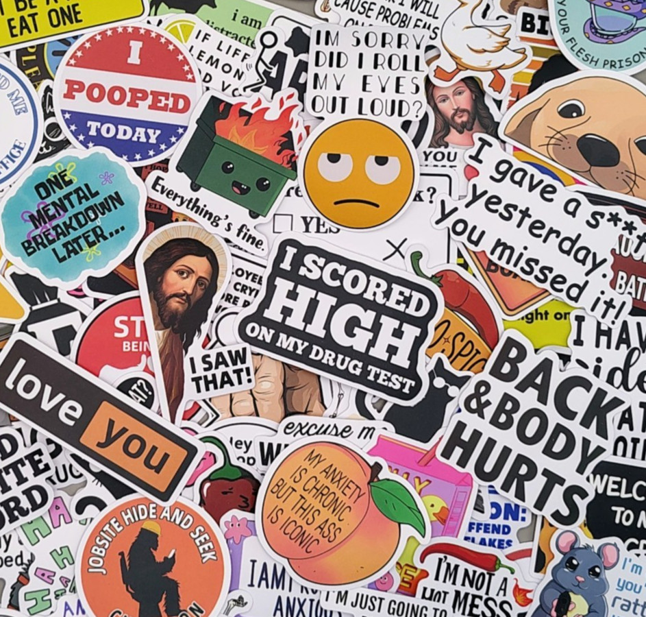 100 Pcs Funny Meme Stickers Pack Vinyl Decals Sarcastic Adult Humor Joke Lot gallery