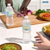 Splash Refresher Lemon Flavored Water, 16.9 Fl Oz, Plastic Bottle Pack of 6 gallery
