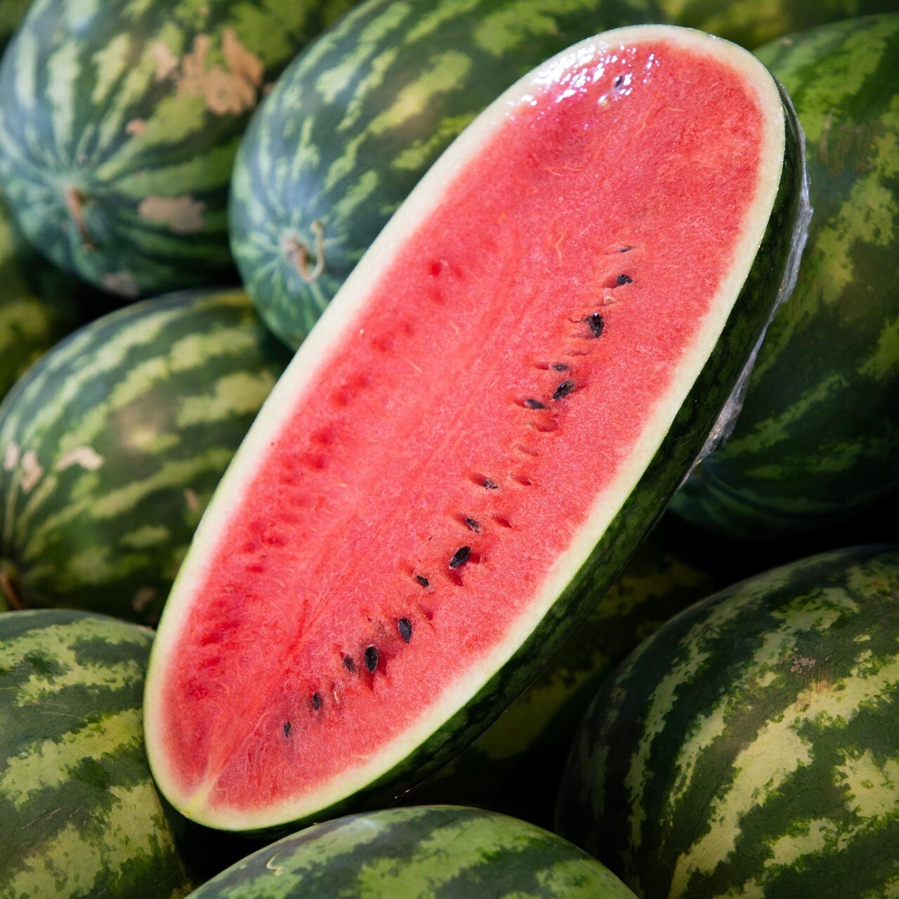 12 CONGO Watermelon Seeds - Large ------ NON GMO - HEIRLOOM - FRESH gallery