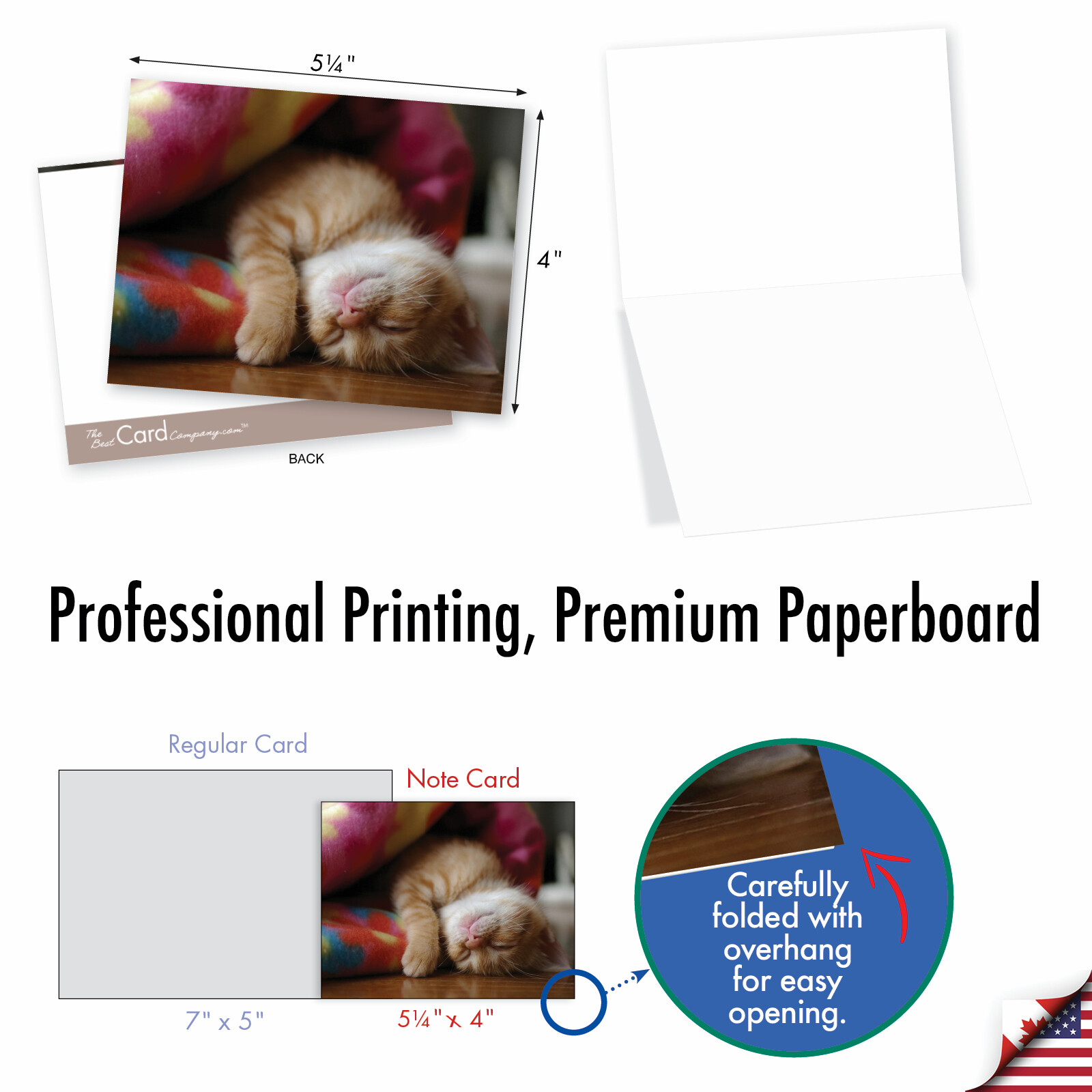 10 Assorted All Occasion Blank Note Cards - CAT YOU SEE ME NOW M1543BN gallery