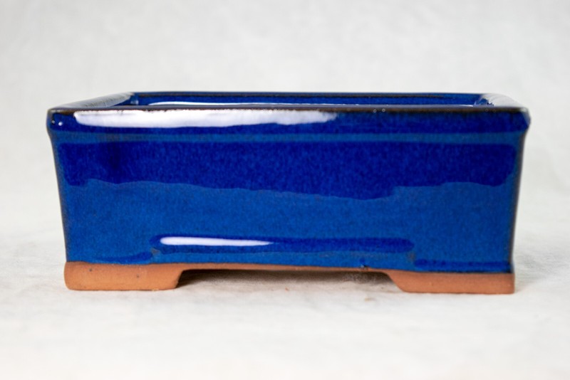 6.25" Rectangular Dark Blue Bonsai / Succulent Pot + Tray + Rock + Mesh Combo gallery