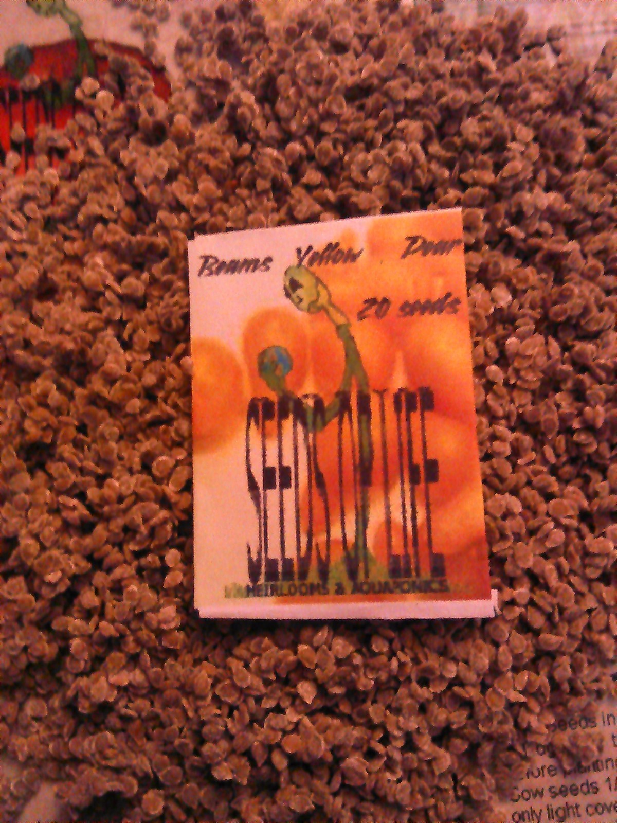 Yellow Pear tomato *HEIRLOOM* 20 seeds gallery