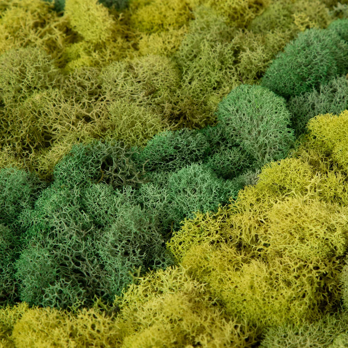 Moss Art by Numbers-UncommonGoods|12367 gallery