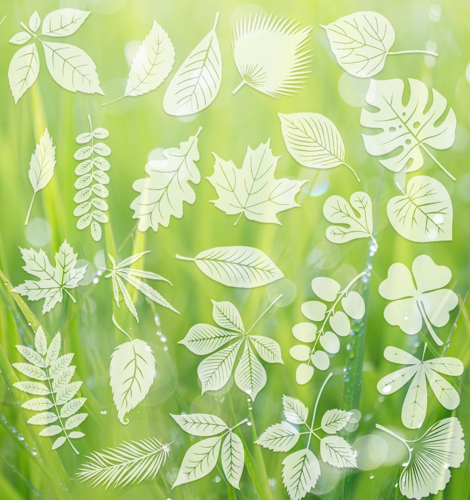 Window Clings for Birds, 26 Pcs Decals to Prevent Bird Strikes Clear gallery