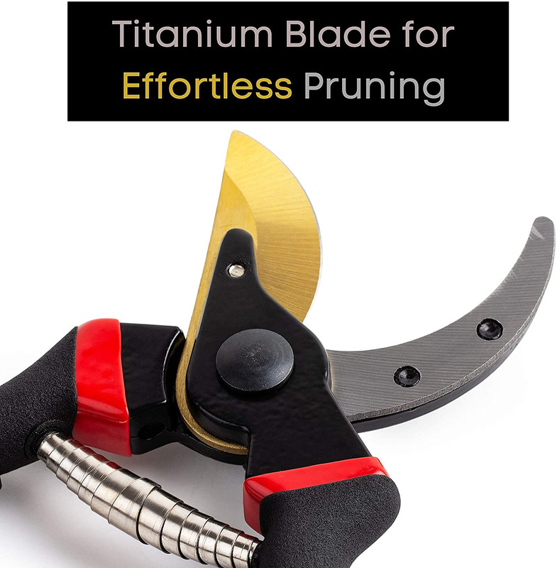 - Pruning Shears Garden Shears 8 Professional Titanium Blade Garden gallery