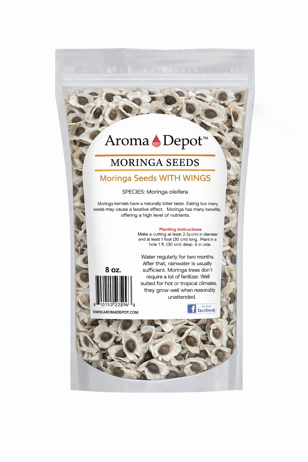 Moringa Seeds WITH WINGS Semillas de Moringa oleifera Pepa Malunggay Wholesale gallery