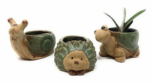 Cute Animal Succulent Planter Pots 3 Pack Turtle Snail Hedgehog Pot gallery