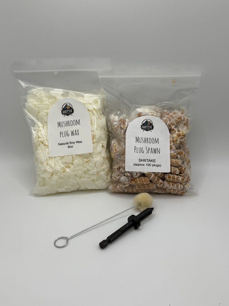 Shiitake Mushroom Plug Spawn Kit - 100x