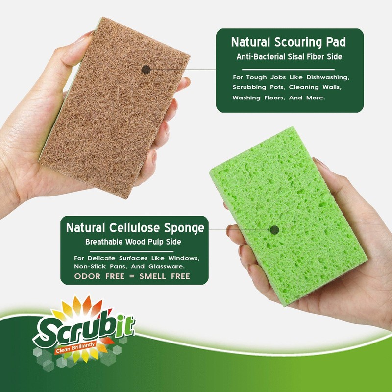 SCRUBIT 24 Pack Natural Sponges - Biodegradable 24 Count (Pack of 1), Green gallery