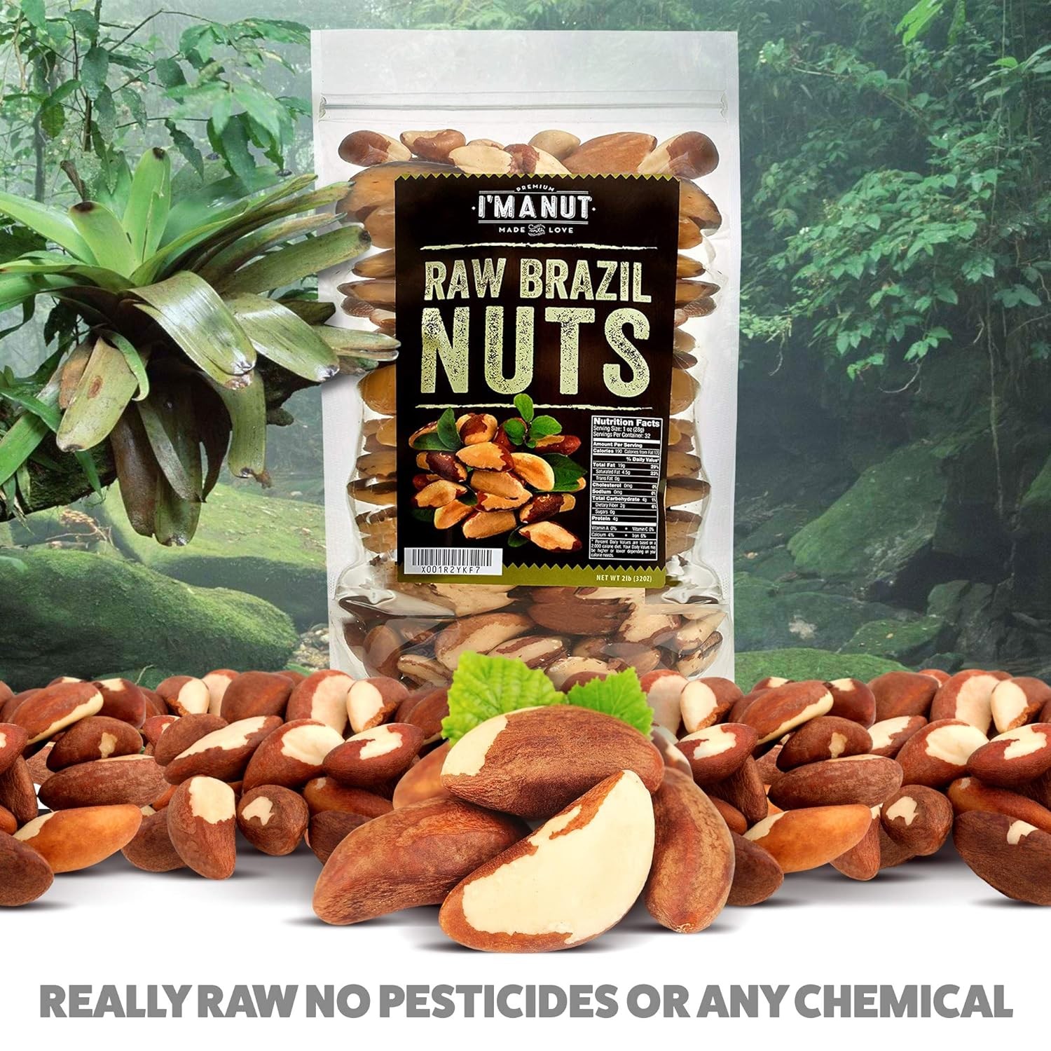 Premium Wild Harvested Raw Brazil Nuts, (8Oz) - High Selenium, Batch Tested Pean gallery