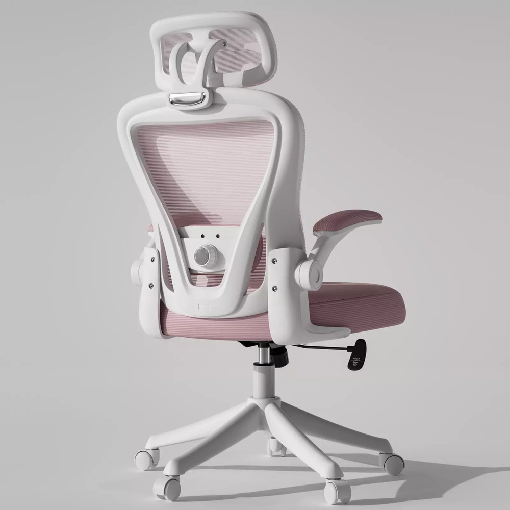 Ergonomic Executive Chair with Lumbar Support Mesh Home Office Chair Desk Chair