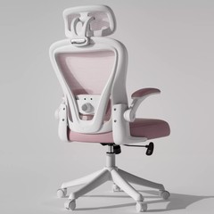 Ergonomic Executive Chair with Lumbar Support Mesh Home Office Chair Desk Chair