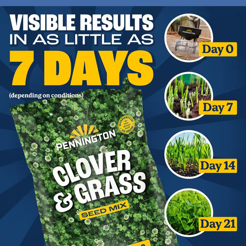 7 Lbs. Clover and Grass Seed Mix gallery