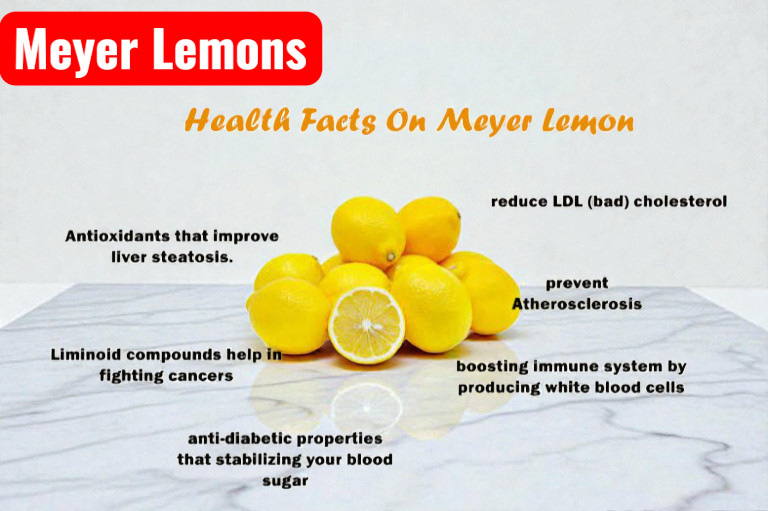 Meyer Lemon Seeds Citrus Fruit Tree 5 Seeds gallery
