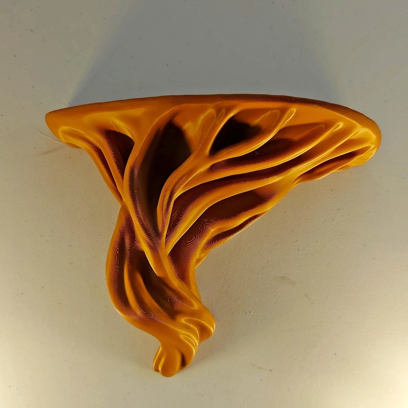 Tree Root Wall Shelf | Organic 3D Printed Floating Shelf | Boho Wall Decor gallery