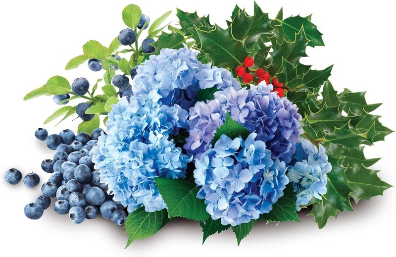 6 lbs Granular Soil Acidifier - Natural pH Adjuster for Blueberries & Hydrangeas gallery