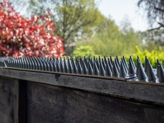 Fence Wall Spikes Garden Security Intruder Repellent Burglar Anti Cat Climb Bird