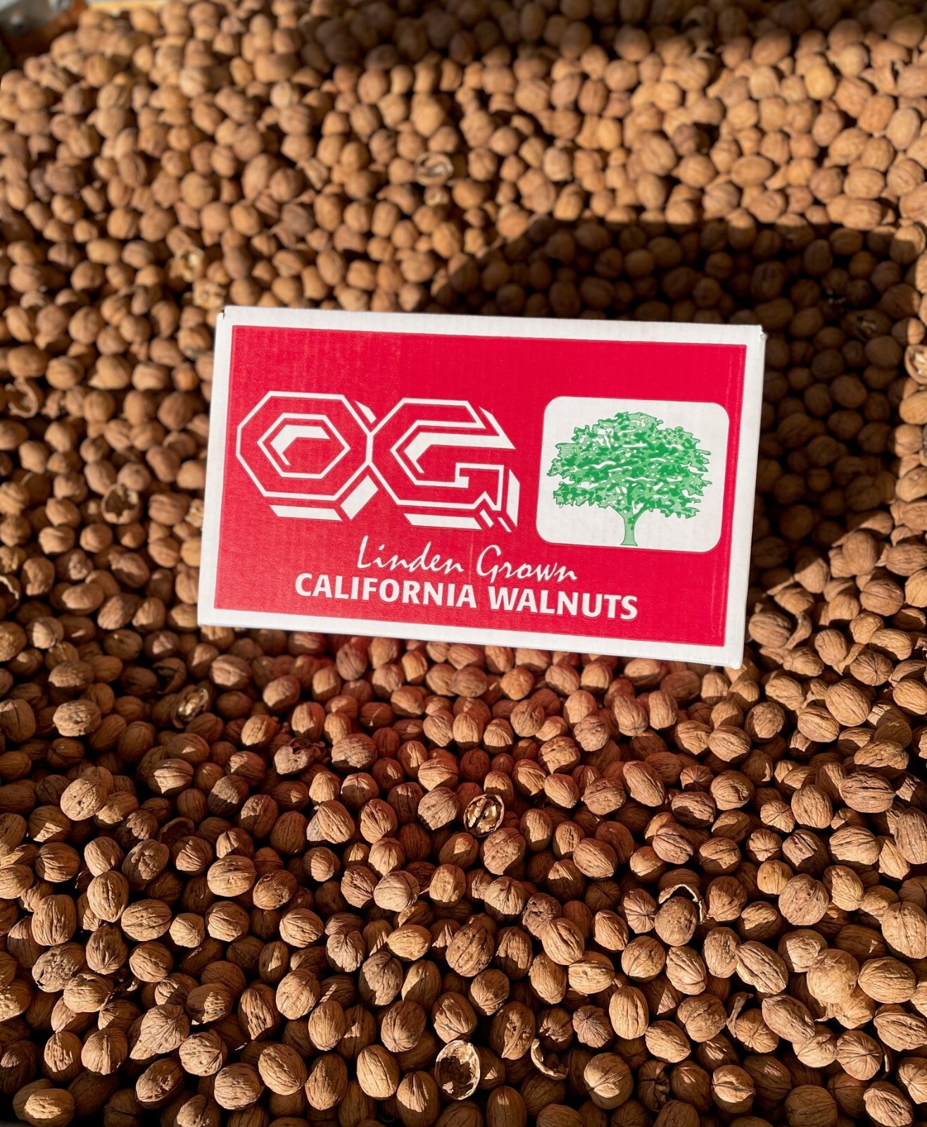 2025 Fresh Crop Shelled Walnuts - 10 lbs gallery