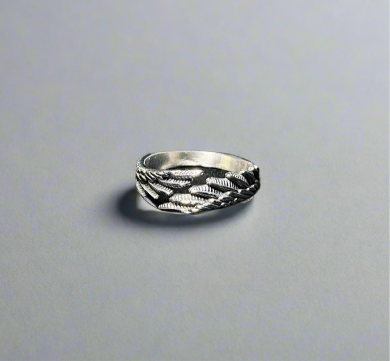 Icarus Ring | Stainless Steel gallery