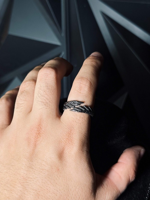 Icarus Ring | Stainless Steel gallery