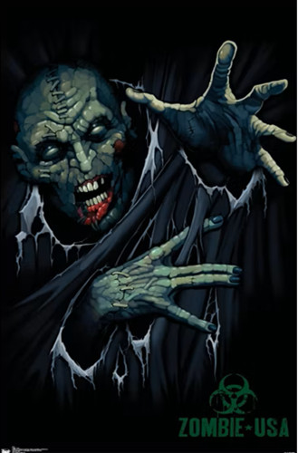 Poster 22 x 34 Zombie, Keep Out, Dragon, Death Rider, Skull and More. You Pick! gallery