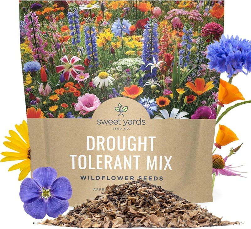 Extra Large Wildflower Seed Mix – Over 21 Species for Colorful Sustainability gallery