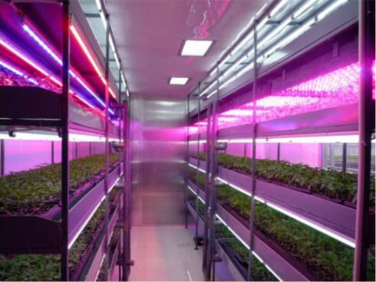 SJP LightLED Plant Grow Strip Light Kit(Power Adapter Included),Full Spectrum SM gallery