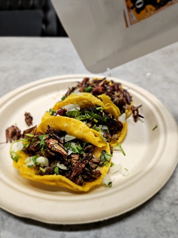 2 LB FRESH CHAPULINES PICOSITOS (spicy grasshoppers) OAXACA gallery
