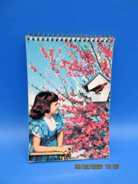 Vintage Spiral Bound Notebook with Nostalgic Scene of Young Girl Blue Dress gallery