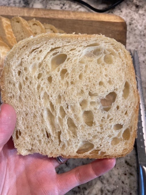 Organic Dehydrated Sourdough Starter / 20 grams freshly made by Town Family Farm gallery